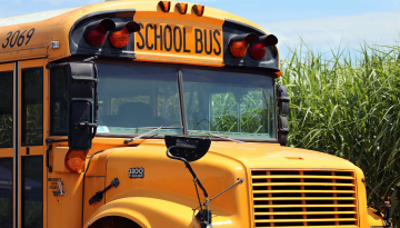 A close-up of a yellow school bus, parked in front of tall plants and a bright blue sky.